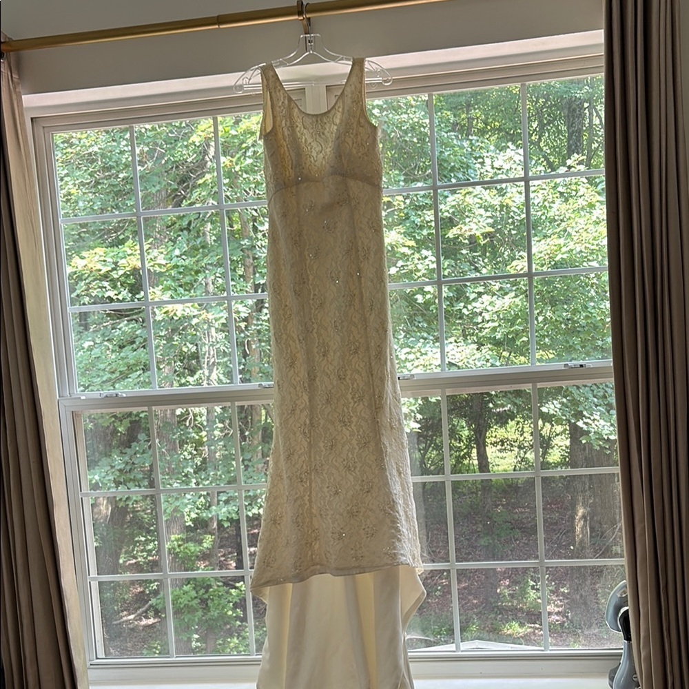 Elegant Cream Lace and pearl Gown